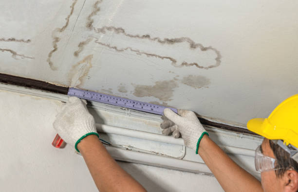 Reliable Water Damage contractor in Mesa, WA by Water Damage Irwin